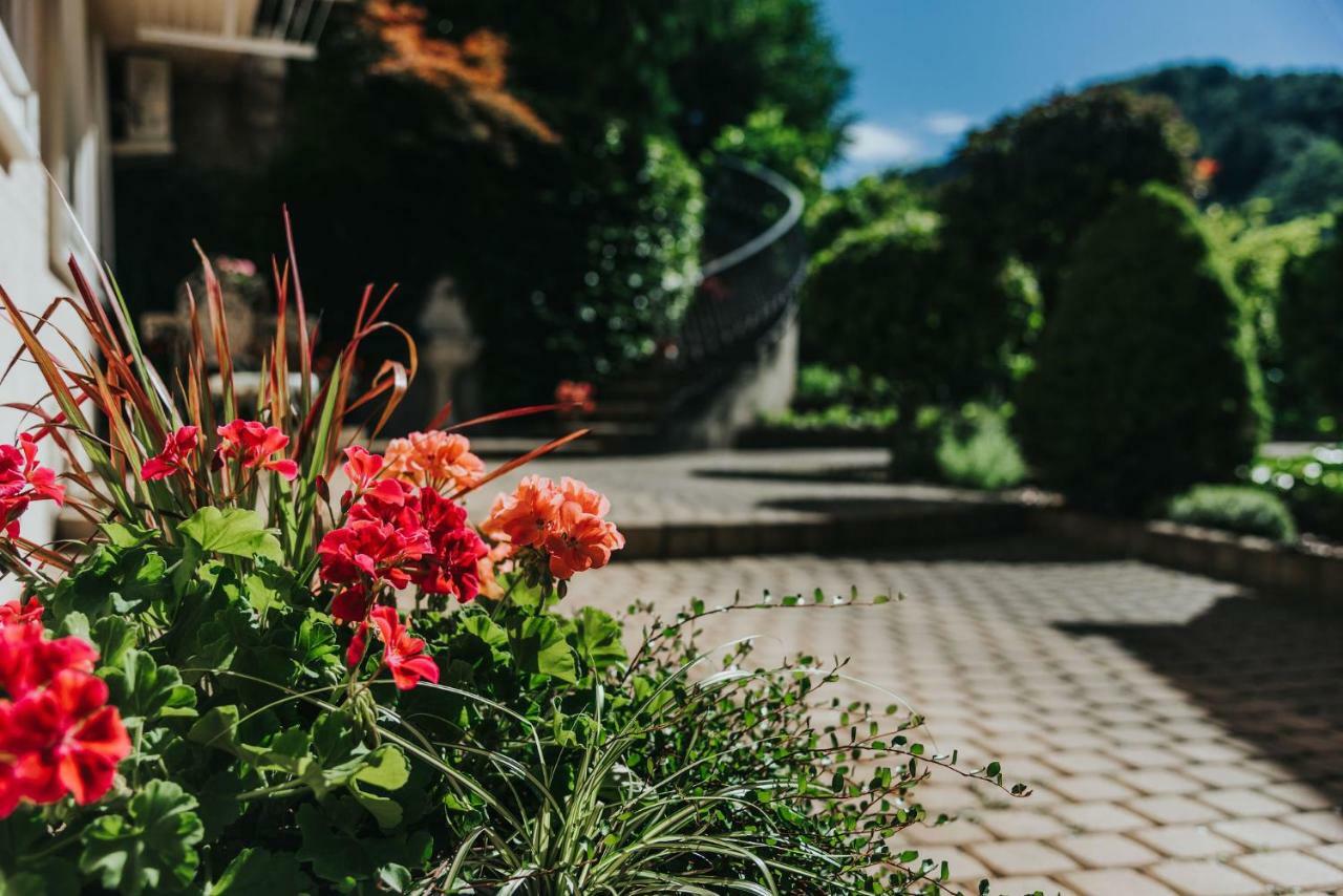 Apartmaji Urska Lasko Luaran gambar